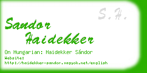 sandor haidekker business card