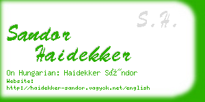sandor haidekker business card